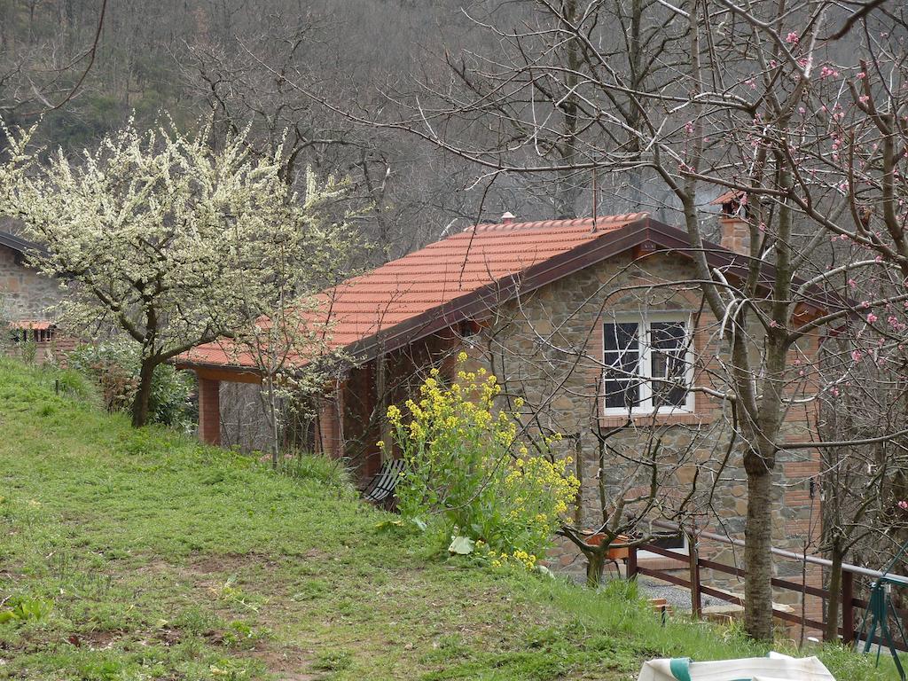 Il Podere Di Giada Bagni di Lucca Rum bild